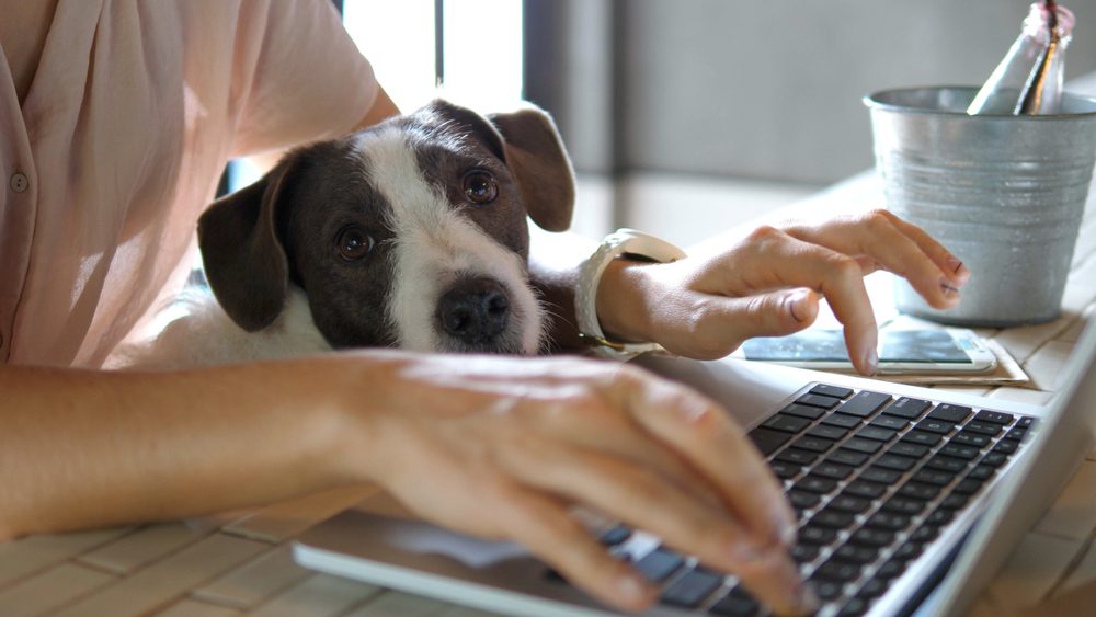 Work From Home