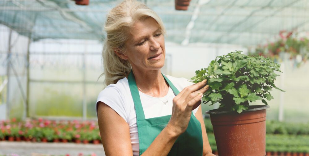 social security, working