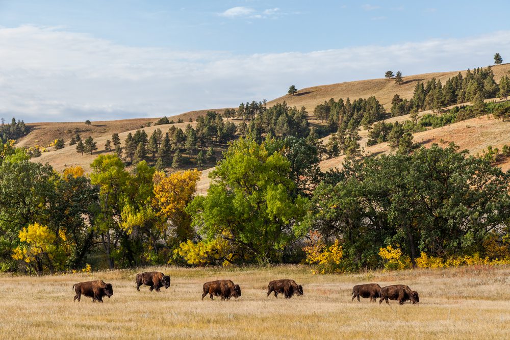south dakota