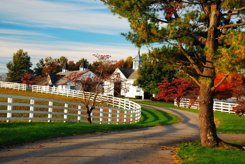 lexington