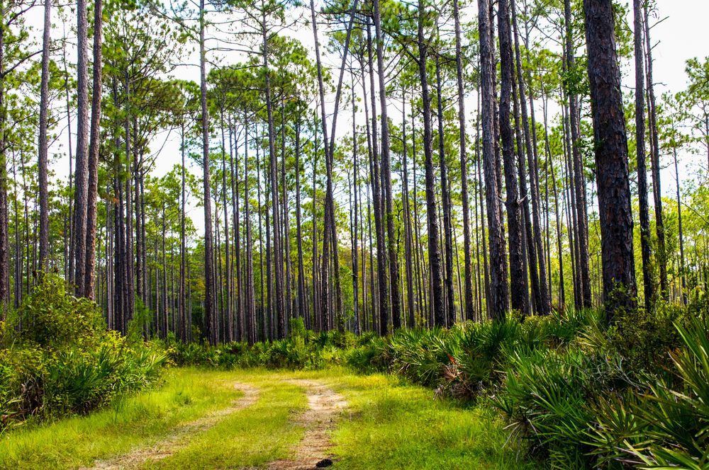 florida
