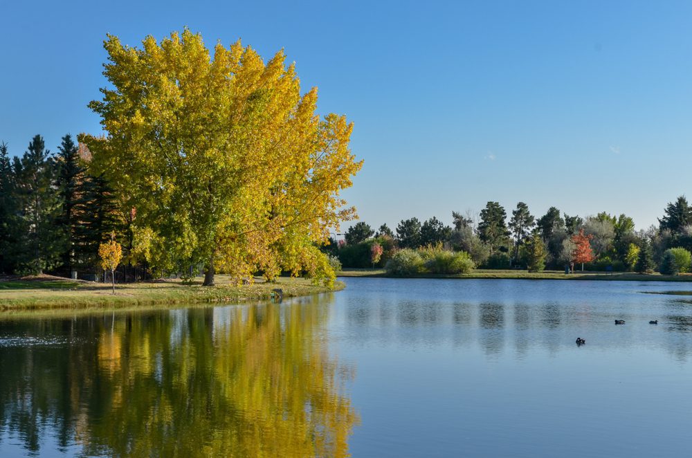 cherry hills village
