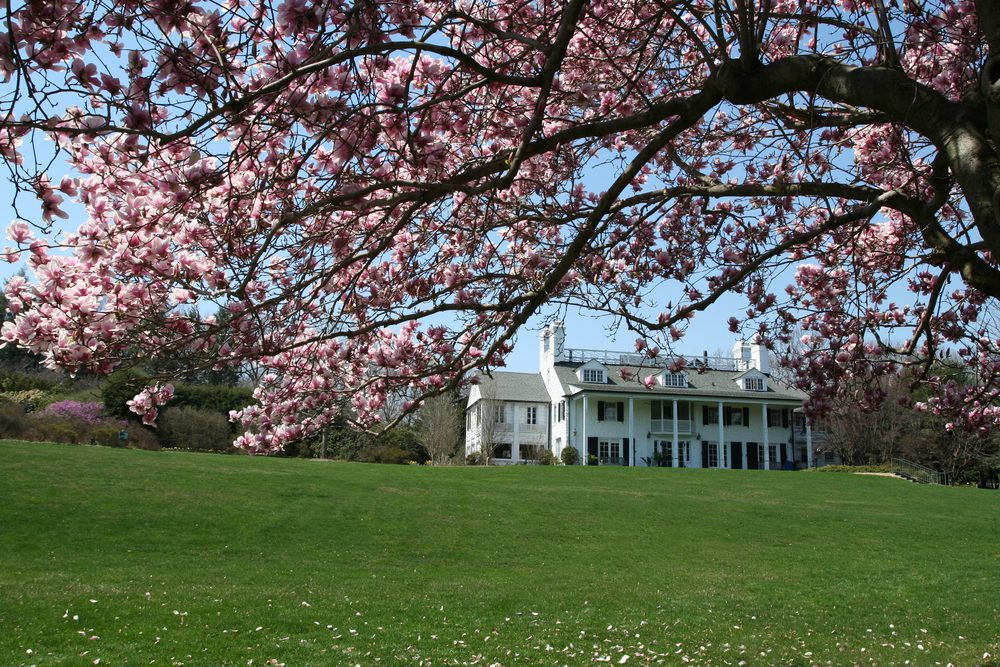 westchester county