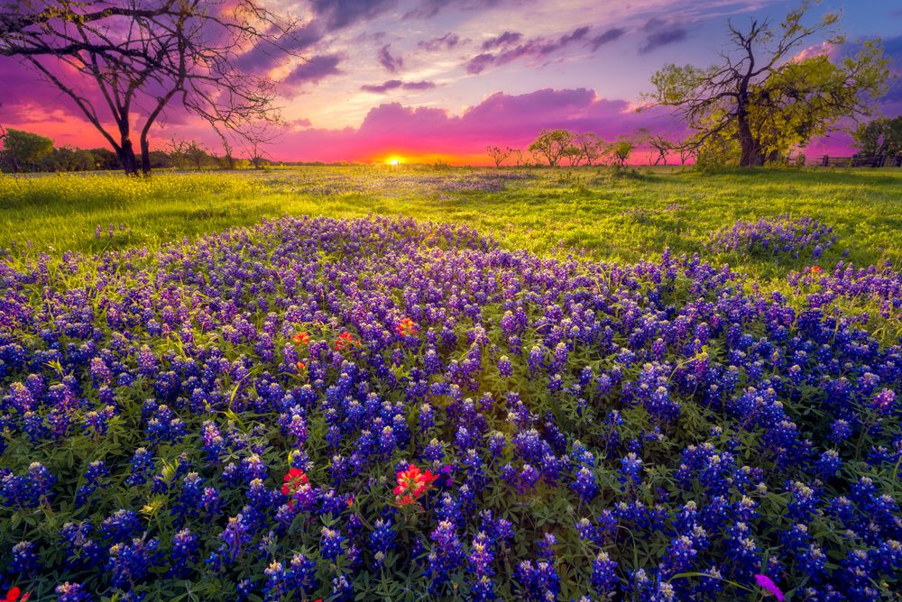 reasons to move to Texas