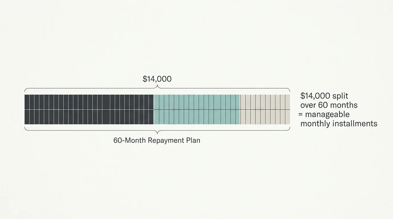 A minimalist horizontal bar chart showing a $14,000 overpayment debt divided into 60 equal monthly segments.
