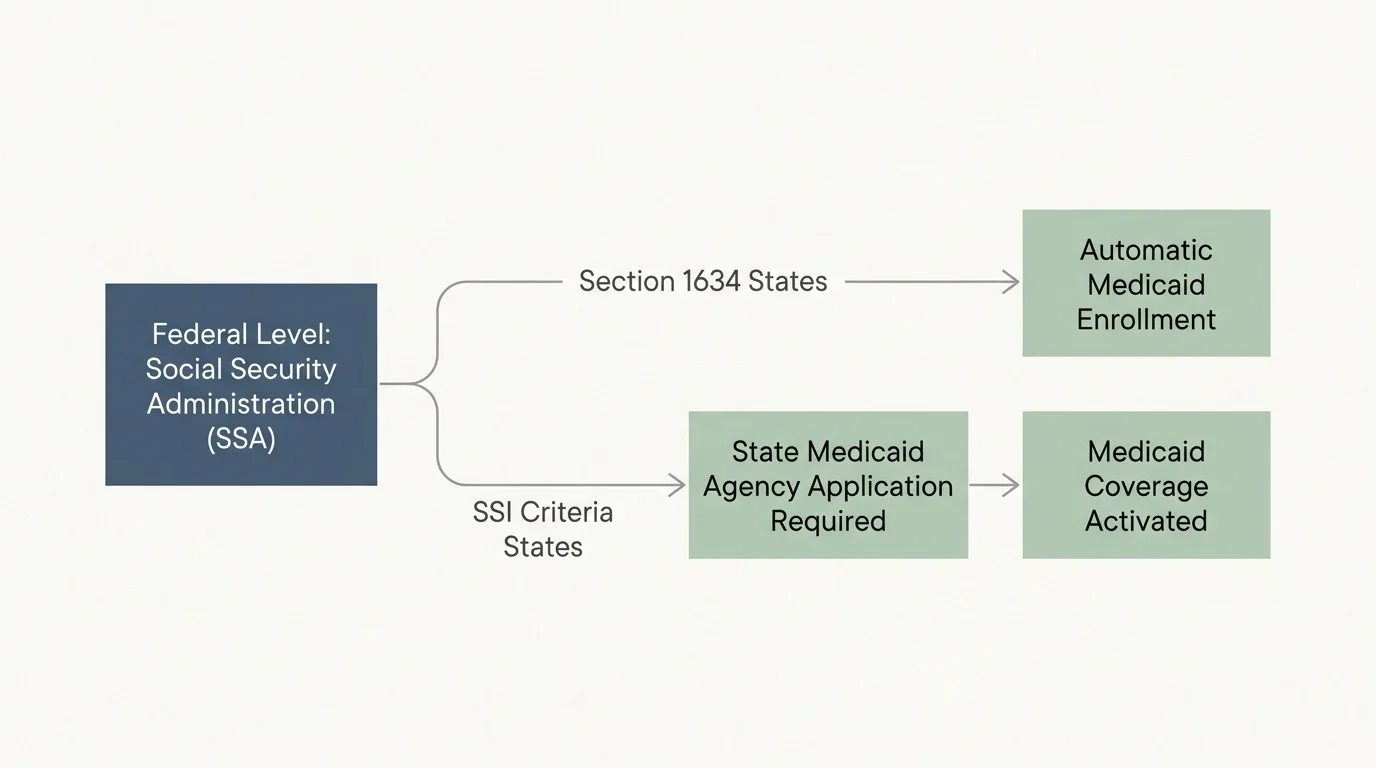 A clean flow diagram showing how federal SSI eligibility splits into automatic enrollment or separate state application pathways.